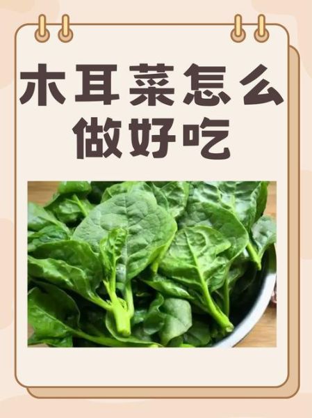 木耳菜怎么炒好吃_木耳菜的做法大全