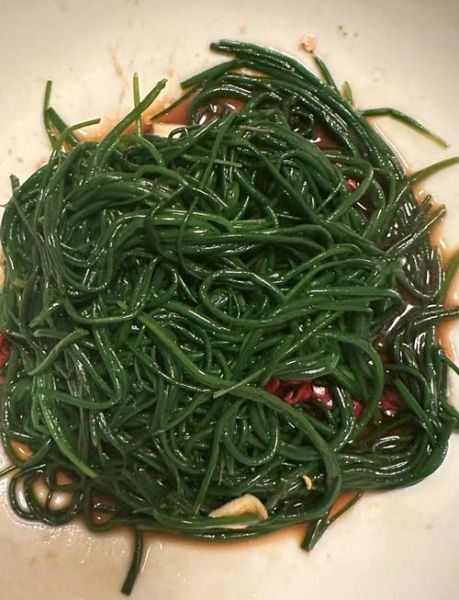 凉拌沙葱怎么做_沙葱要不要焯水