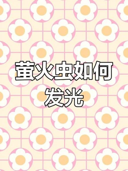 什么虫子会发光_萤火虫发光原理