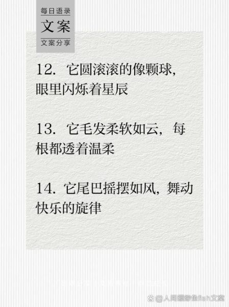 小狗怎么造词语_小狗造词语有哪些