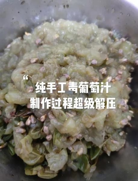 葡萄汁怎么做_自制葡萄汁需要去皮吗