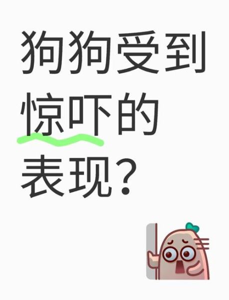 惊吓是什么意思_惊吓后身体会出现哪些反应