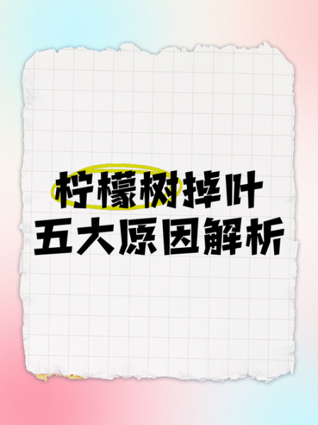 树叶少的原因_树叶少怎么办