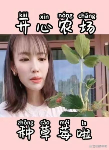 马蓉移民澳大利亚_马蓉为何选择澳洲