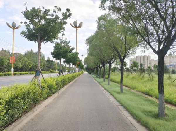 小径怎么读_小径的拼音是什么