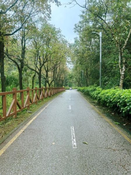 小径怎么读_小径的拼音是什么