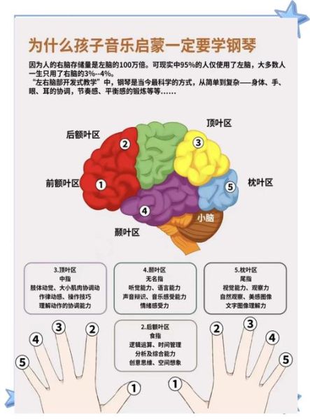 弹琴有什么好处_初学者怎么学钢琴