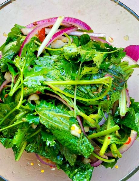 苏子叶怎么腌制好吃_苏子叶的做法大全