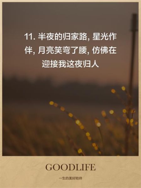 回家很晚用什么词形容_深夜归家的表达有哪些