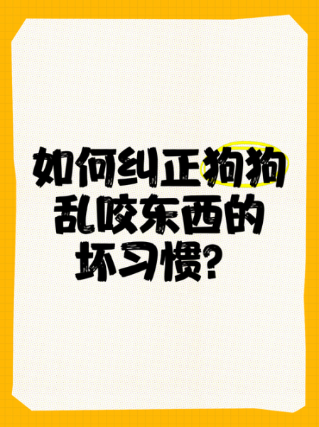 如何防止狗狗乱咬东西_狗狗乱跑怎么办