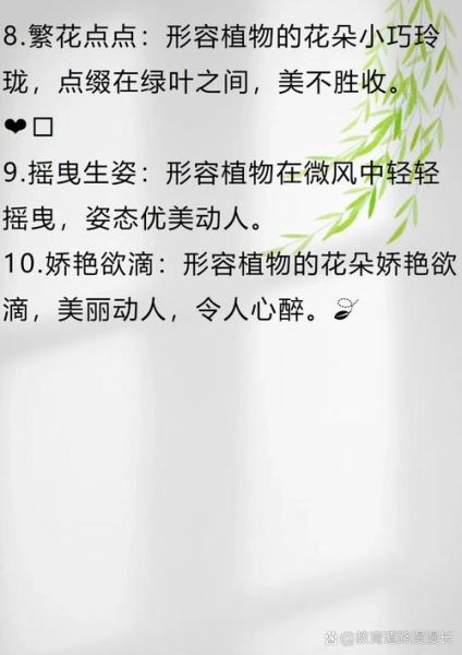 花团锦簇_形容花abcc词语有哪些