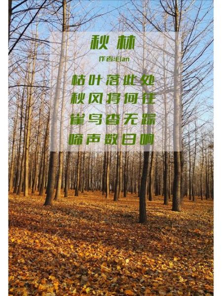 秋林词语是什么_秋林词语含义及用法