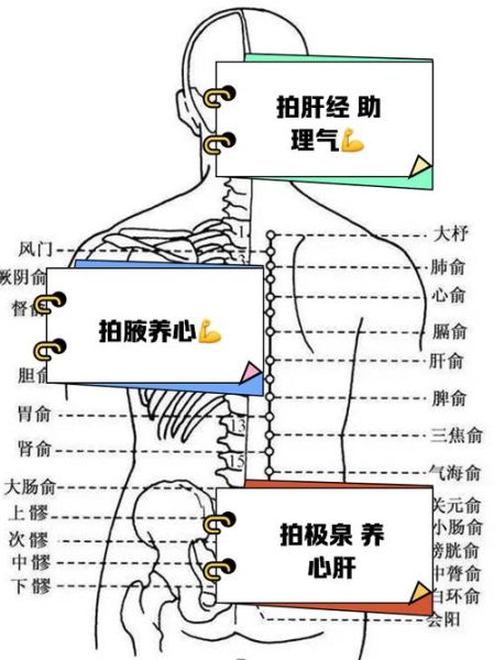 拍打身体有什么好处_拍打哪些部位最养生