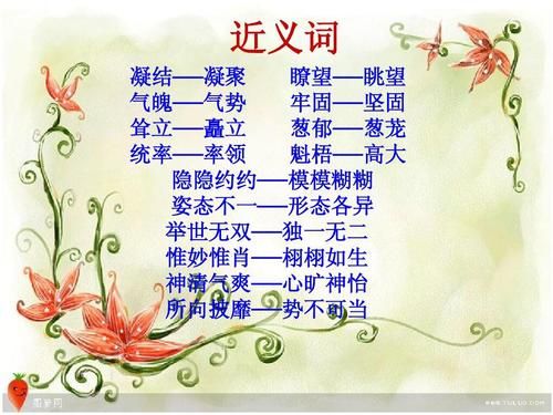 魁梧是什么意思_魁梧的近义词有哪些