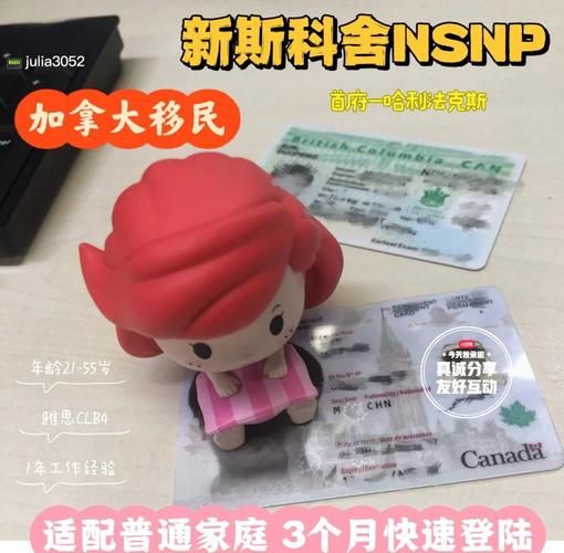 ns省移民条件_如何申请ns省提名