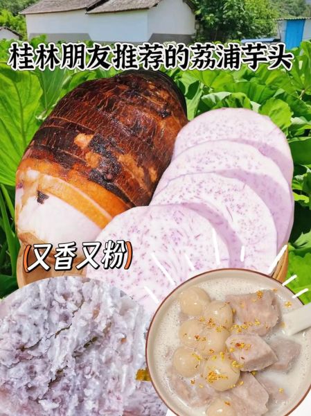 芋头粉怎么做好吃_芋头粉的做法大全