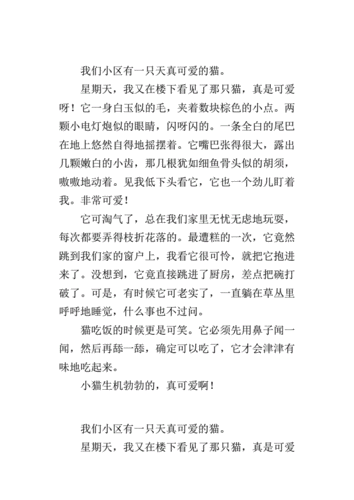 天真纯洁的词语有哪些_如何用它们写作文