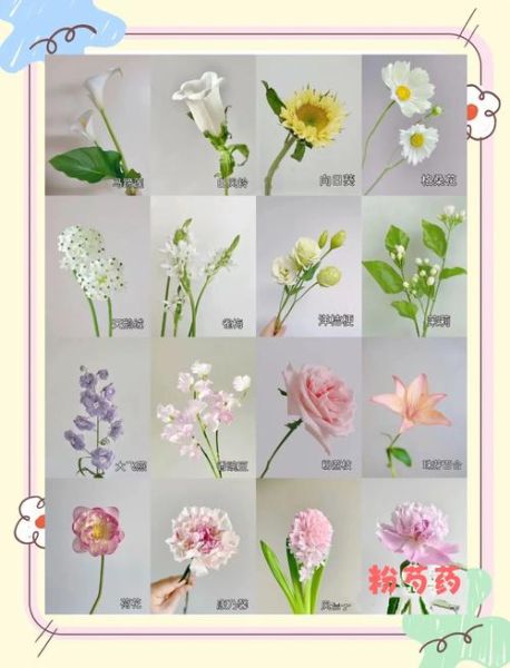 挂花是什么意思_挂花有哪些常见词语