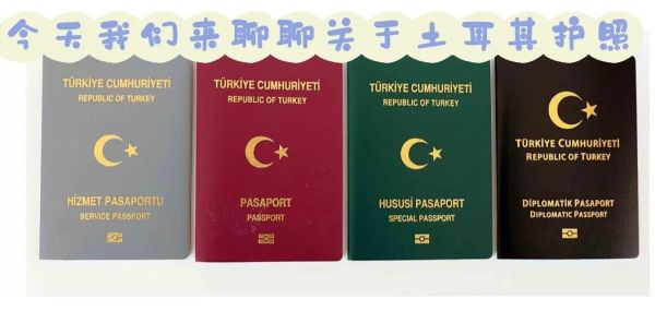 土耳其移民优势有哪些_土耳其护照值得办理吗
