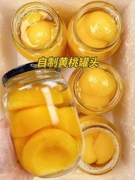 罐头怎么做_自制罐头保存多久