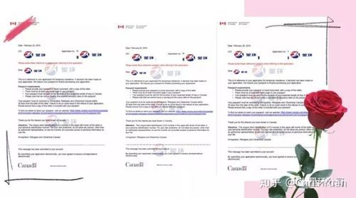 ict移民是什么_ict移民申请条件