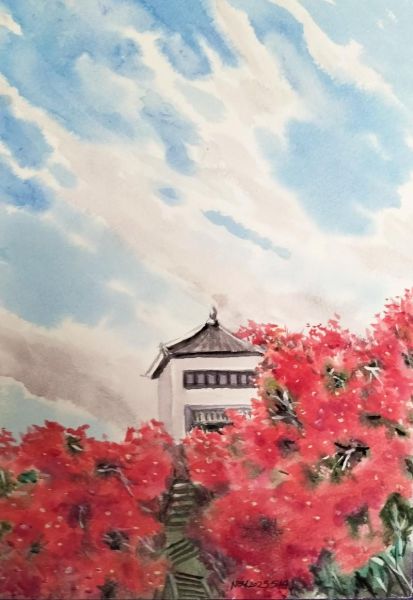 花儿为什么这样红_如何描写花儿的颜色