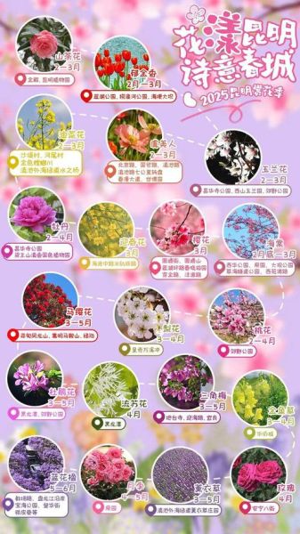 春天有哪些花_春天赏花最佳时间