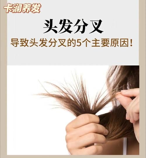 头发干枯毛躁怎么护理_头发分叉严重怎么办