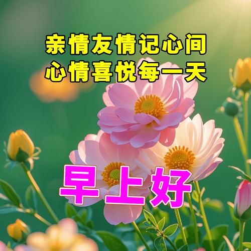 上午还有什么词语_上午还能用什么词表达