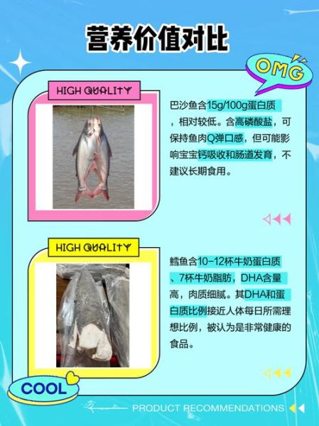 沙鱼是鲨鱼吗_沙鱼与鲨鱼区别