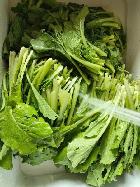 纯素小白菜馅怎么做_小白菜素馅饺子怎么调馅