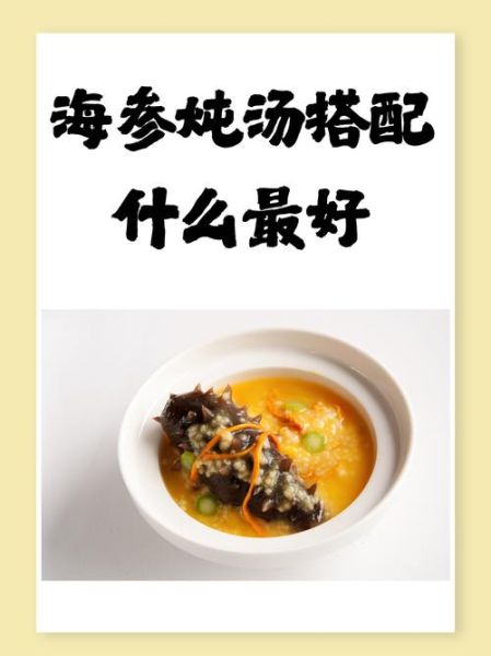 海参汤怎么炖才好吃_海参汤的做法步骤