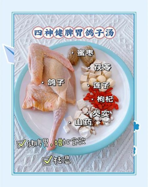 鸽子汤怎么炖最营养_鸽子汤的做法大全