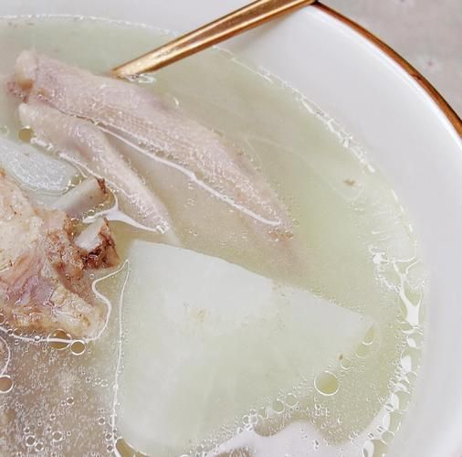 家常炖鸭子怎么做好吃_鸭子炖多久才软烂