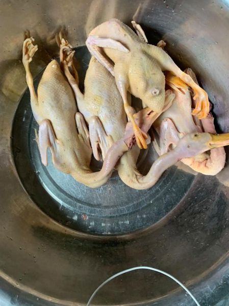 家常炖鸭子怎么做好吃_鸭子炖多久才软烂