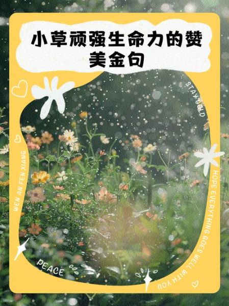 小草为什么那么坚强_赞美小草的四字词语有哪些