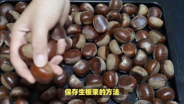 板栗怎么保存不会坏_新鲜板栗可以放多久