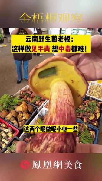 见手青怎么做_见手青中毒怎么办