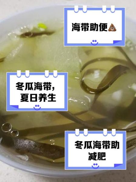 海带冬瓜汤怎么做好喝_海带冬瓜汤的做法窍门