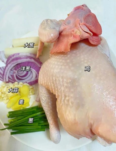 葱油鸡怎么做才正宗_正宗葱油鸡用什么鸡