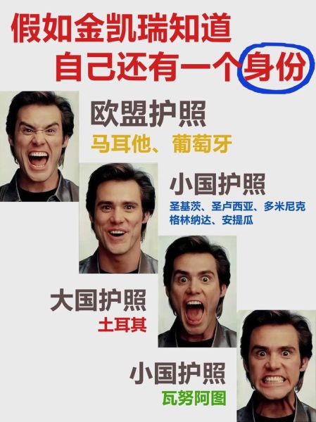 为什么明星都移民_明星移民原因有哪些