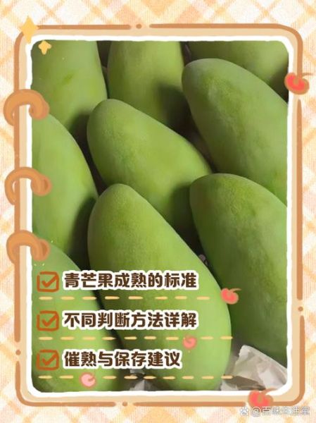 芒果外皮颜色代表什么_如何挑选成熟芒果
