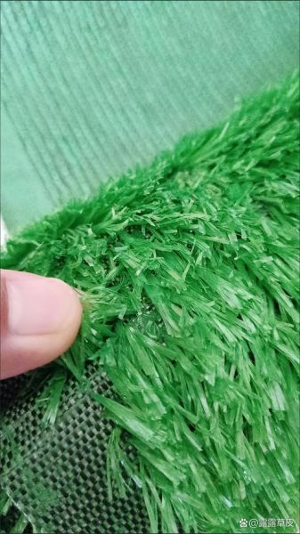 绿色草地怎么养护_绿色草地多久修剪一次