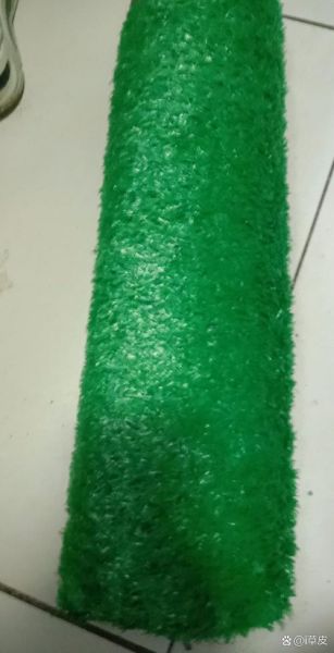 绿色草地怎么养护_绿色草地多久修剪一次