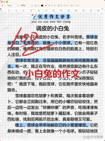 小兔白白怎么写_小兔白白词语造句技巧