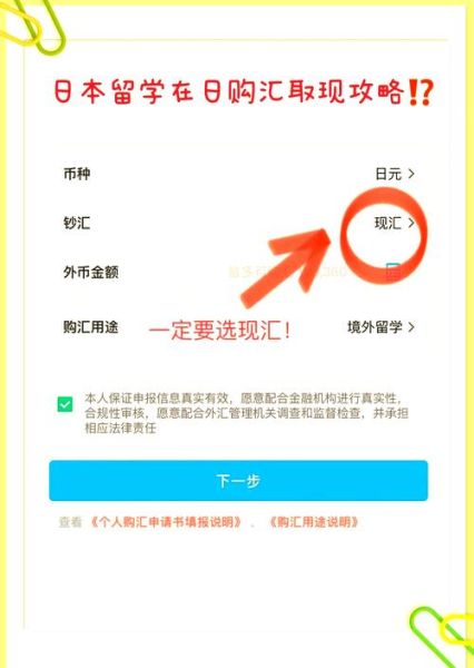 移民购汇额度是多少_移民购汇流程怎么走