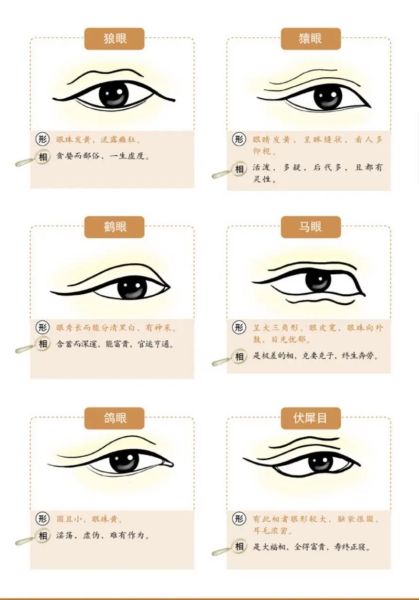 眼睛象征什么_眼睛代表什么含义