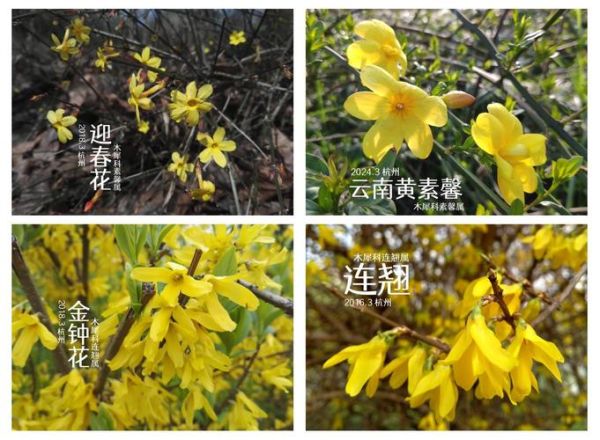 春天有哪些特点_春天和秋天的区别