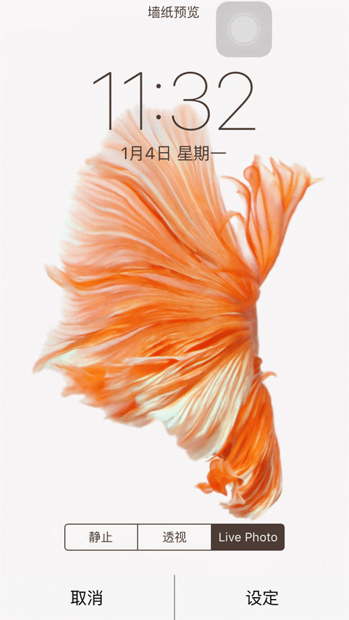 苹果手机动态壁纸怎么设置_动态壁纸耗电吗