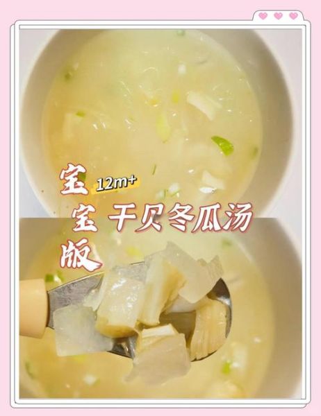 干贝冬瓜汤怎么煲_干贝冬瓜汤的家常做法